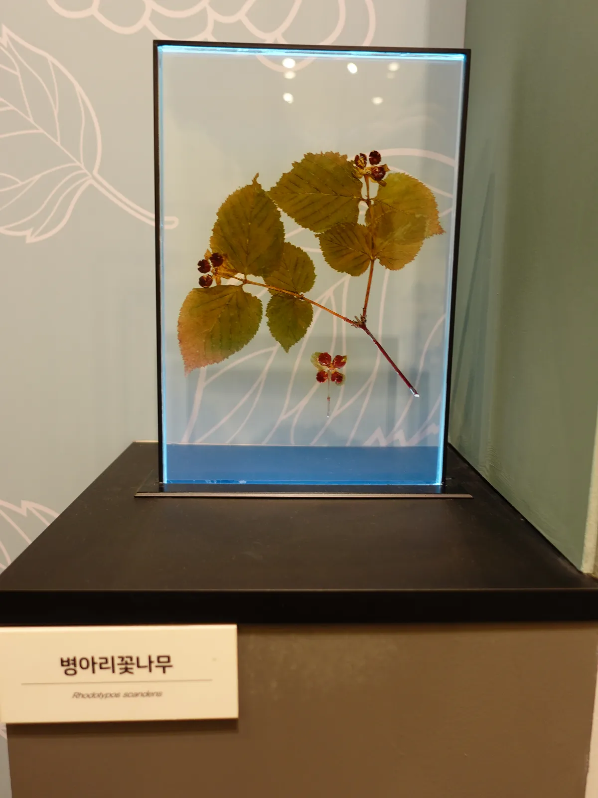 천연기념물센터 4
