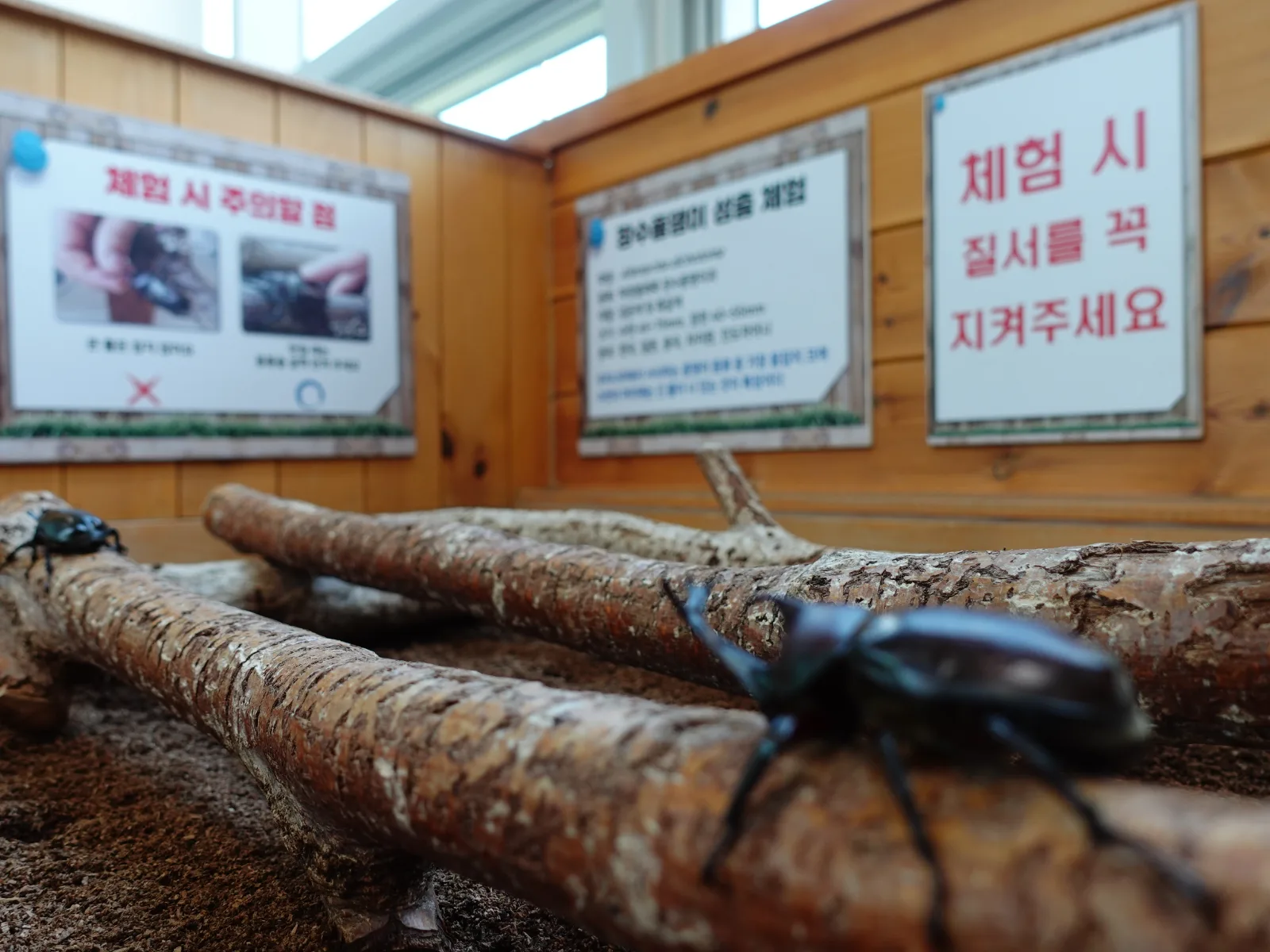 대전곤충생태관 사진 2